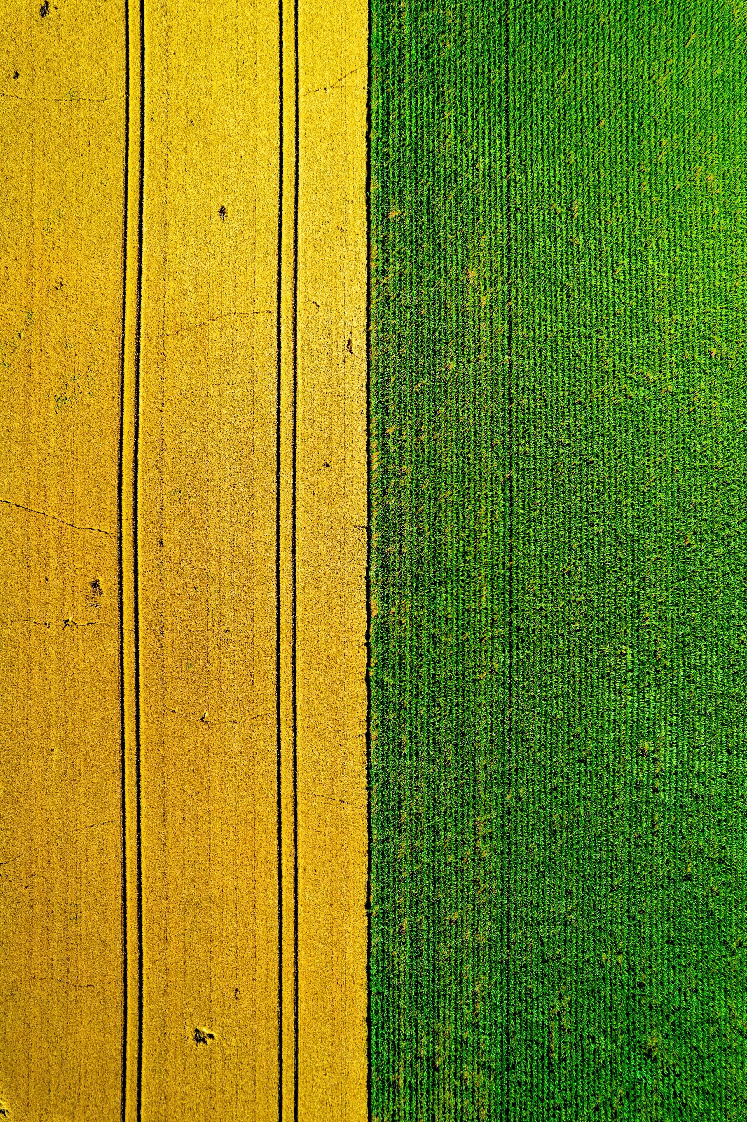 Field Background